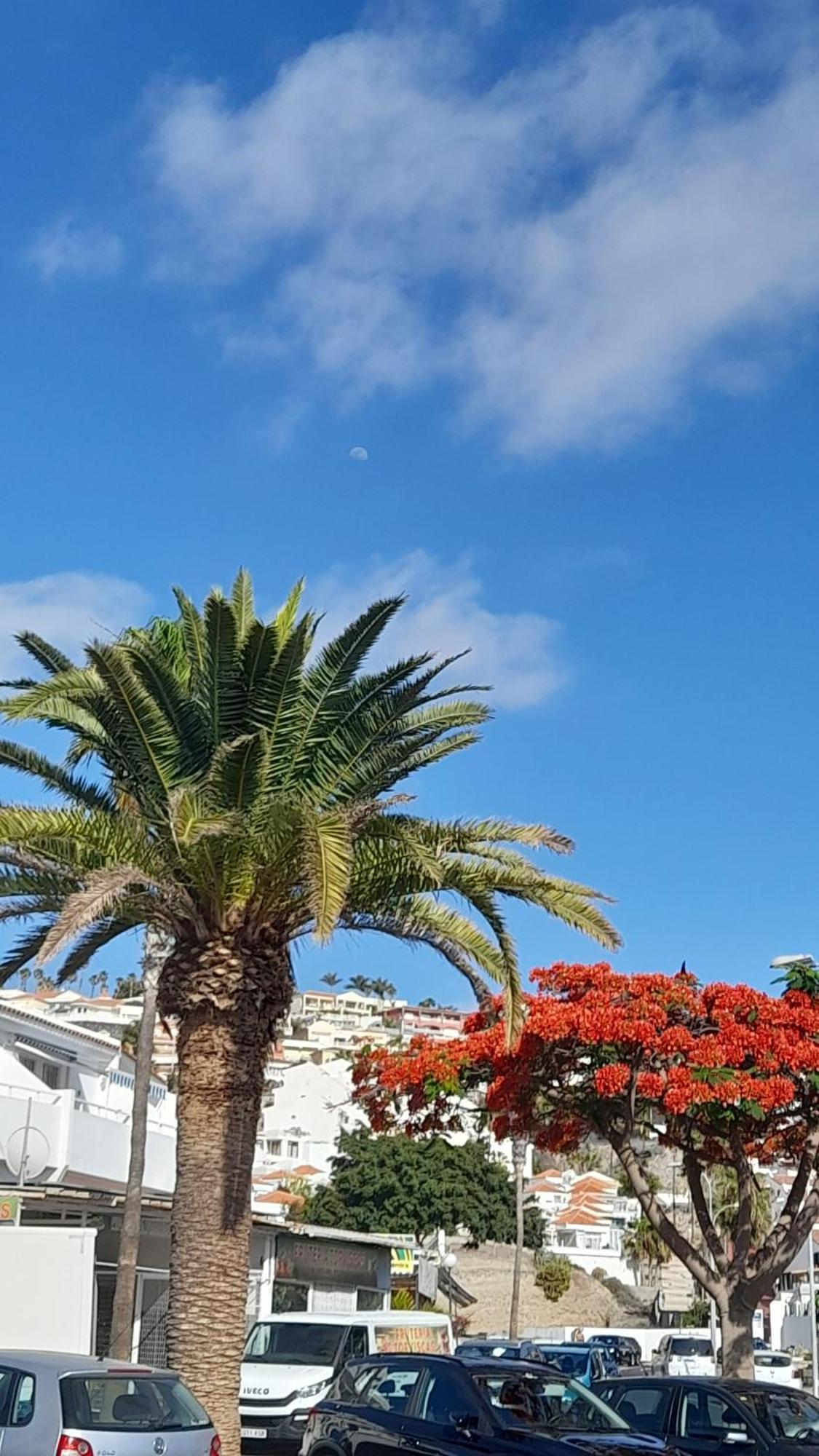 Apartments Island Village Heights Costa Adeje  Eksteriør bilde